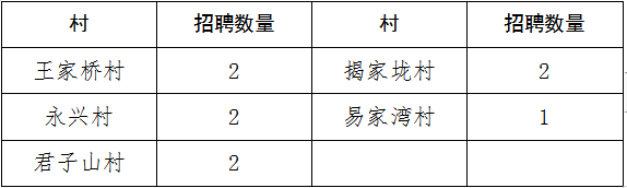 【洛陽(yáng)招聘】高中可報(bào)！專業(yè)不限,！洛陽(yáng)一鎮(zhèn)招聘村干部公告