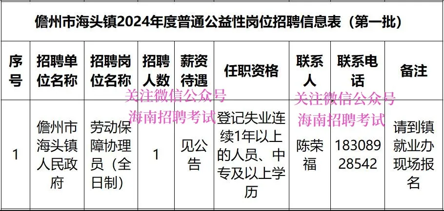 儋州市海頭鎮(zhèn)人民政府2024年招聘，中專可報